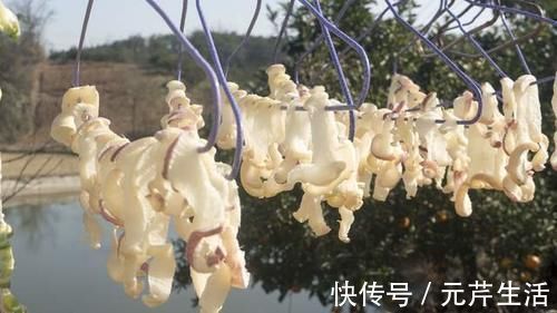 萝卜干|农村姑娘这样腌制萝卜干,1次腌10斤,香辣脆爽,吃到年都不会坏