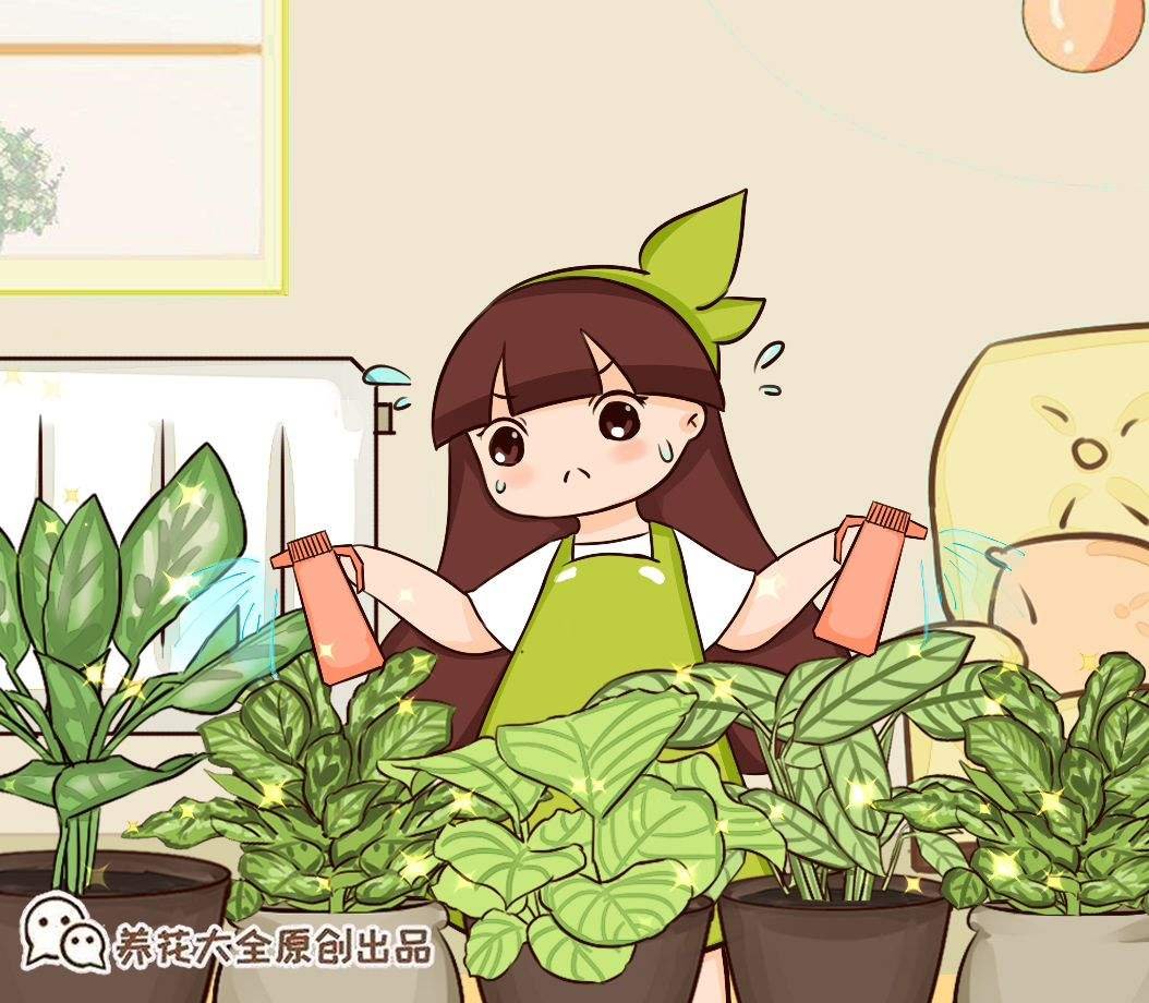 花友|养花老匠常说的“不干不浇，浇则浇透”，你真的理解了吗//