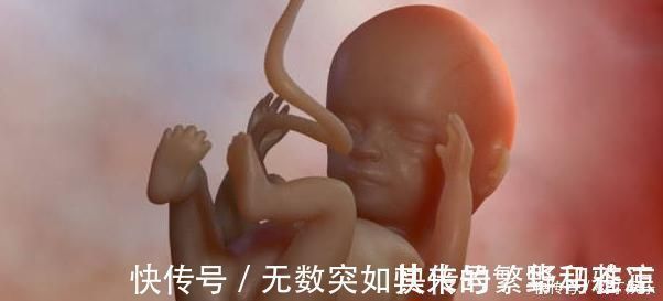 最高期|胎儿每月都有在发育,这5个成长“关键期”,错过就补不回来了