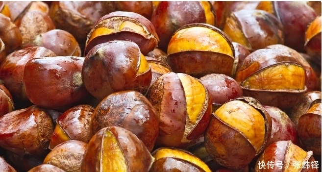 板栗|栗子富含哪些营养?除了糖炒栗子,给大家推荐一个好吃的做法