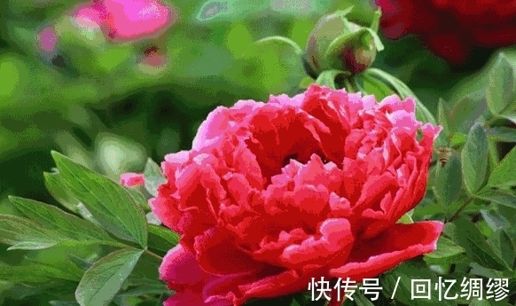 天后|2天后,目标明确,不畏艰险,贵人相助,梦想成真,升职加薪