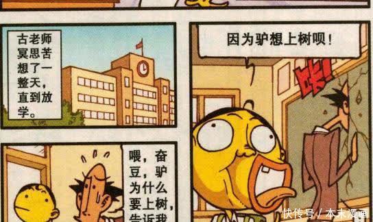 无解超级谜题,小驴为啥要上树,奋豆的答案让古老师长出新发