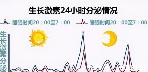 记忆力|哈佛大学研究发现:孩子在2个“黄金期”睡觉,更有助于大脑发育