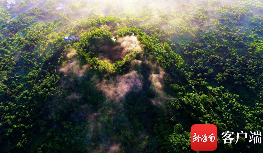 路线|海口推出5条元旦假期湿地主题旅游路线