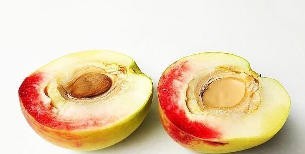 功效|桃仁不仅作为坚果好吃，其养生功效更是惊人