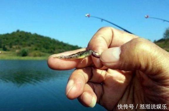钓饵|野钓高手的独门技巧,专门针对杂鱼闹窝、浮漂摇摆不定的难题!