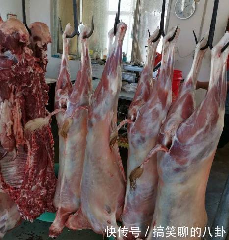 真会|买羊肉时,牢记这“4不买”,保证买到新鲜好羊肉,肉贩:真会挑