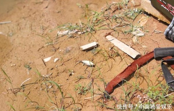 钓鱼|农村小河沟中钓起一条这样的鱼, 我赶紧收杆离开这一水域