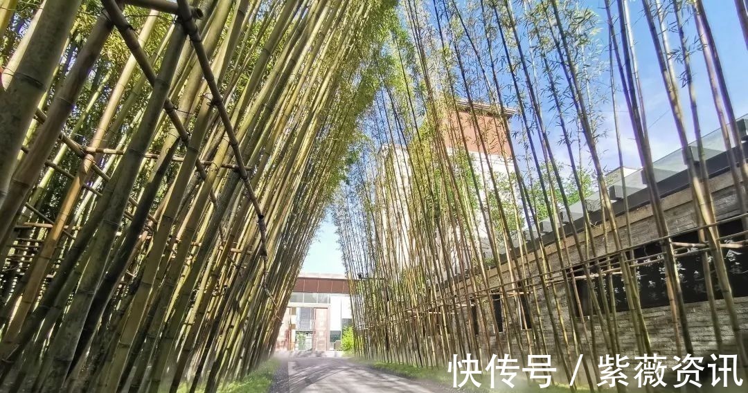 住建部|房产证的重要性,你必须知道!丨买房涨知识