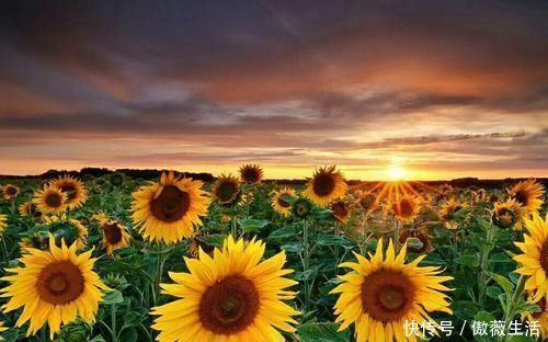 癌症|意外和明天哪个先来？人生伴侣遭遇癌症，自责、哭泣，有用吗？