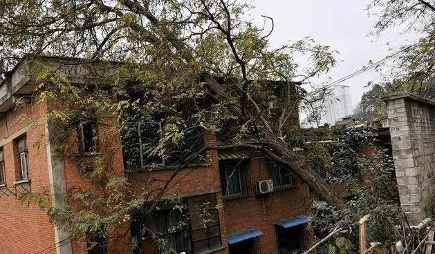 倒塌|农村建房为何有“宁住碰壁屋，不住缺角房”的禁忌