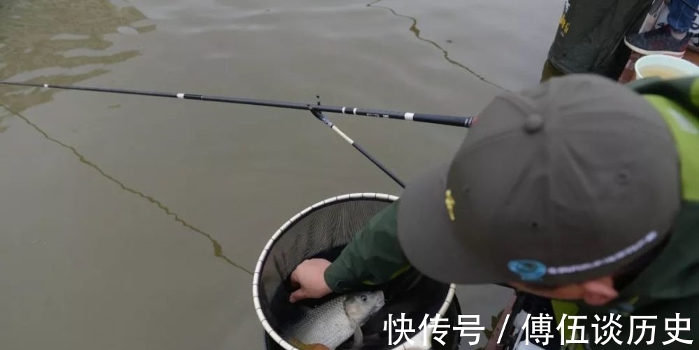 鱼情|黑坑作钓,鱼不开口,怎么办?