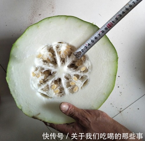 冬瓜|买冬瓜时,黑皮好还是青皮好?口感差别大,做法也不同,别买错了