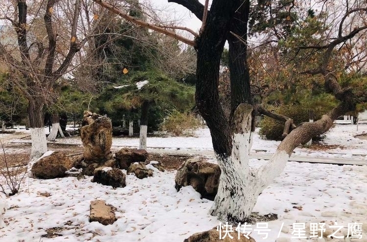 寒潮@初冬小雪连,情怀吟诗篇(诗词九首)