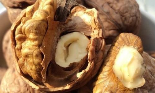 大脑|核桃哪时吃最有营养?营养师提醒:吃对长寿药,吃错黑白无常伴随