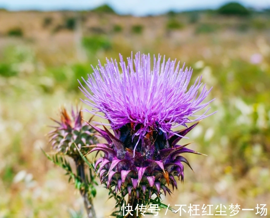 巨蟹座|7月，城府很深，缘分很浅，3星座桃花炸裂，姻缘归位，旧情复燃