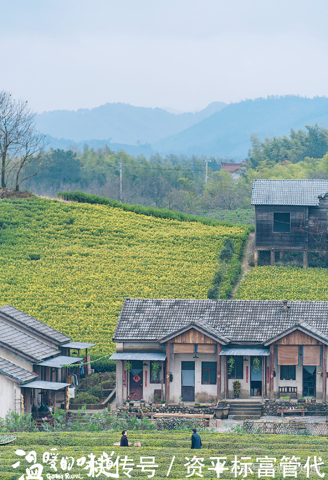 熟人|《温暖的味道》收视率飙升,靳东不愧是中年顶流,配角都是老熟人