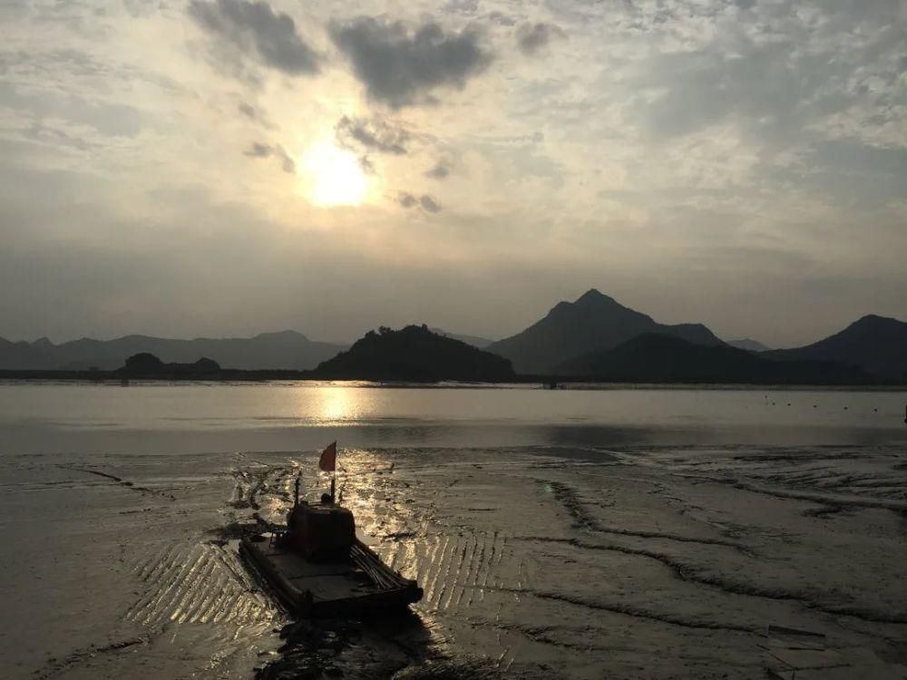 码头|褚树荣:在乡愁码头上《若有所思》