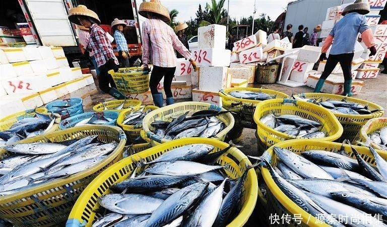 选择|买鱼就选择这5种鱼,刺很少,味道还特别鲜美,是烹饪的好食材!