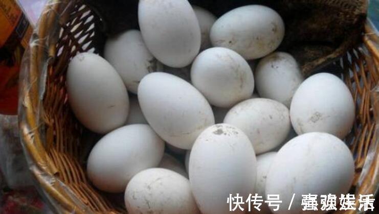 口疮|孕晚期吃鹅蛋,好处并不是“去胎毒”,孕妇早知道早受益