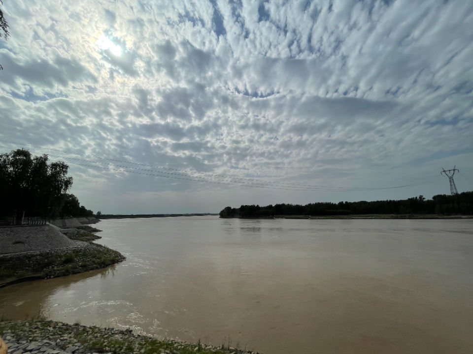 高青|昔日盐碱涝洼沙地，蝶变成黄河旅游网红地