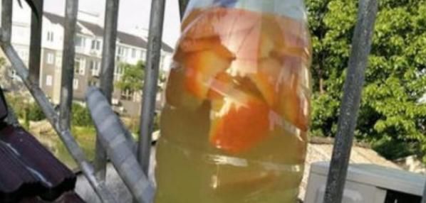 家庭养花，慎用淘米水，掌握正确方法才能远离土壤结块的负面影响