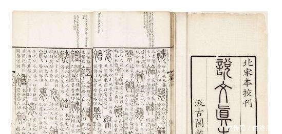 本是骂人的词语,却在清朝变成了“尊称”,甚至还以此为荣!