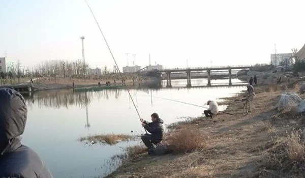 冬钓扑空的三种原因,不必烦恼也不必封竿,3分钟高效解决