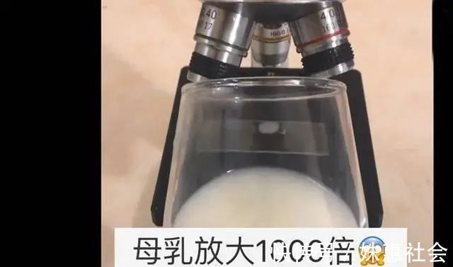 六个月|母乳在显微镜下放大一千倍竟是活的,让人惊叹:母爱的伟大!