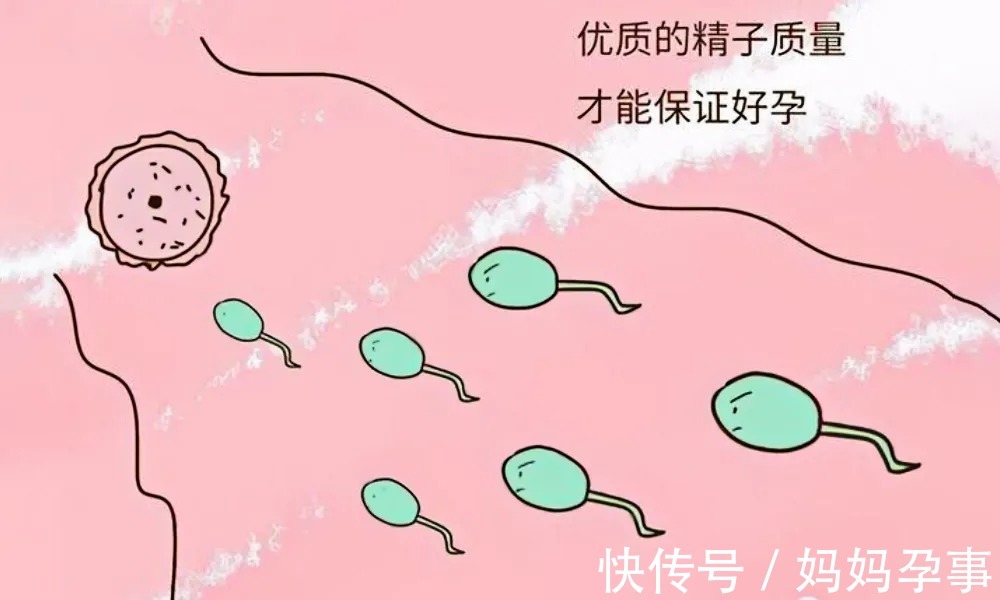 备孕|秋天备孕,这四个方法“造人”超有效!