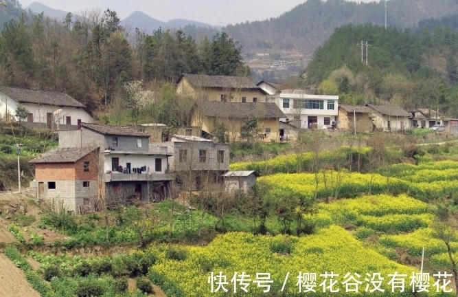 金蟾!古语:“想要家中富,屋里放四物”,究竟是哪四物?有道理吗?