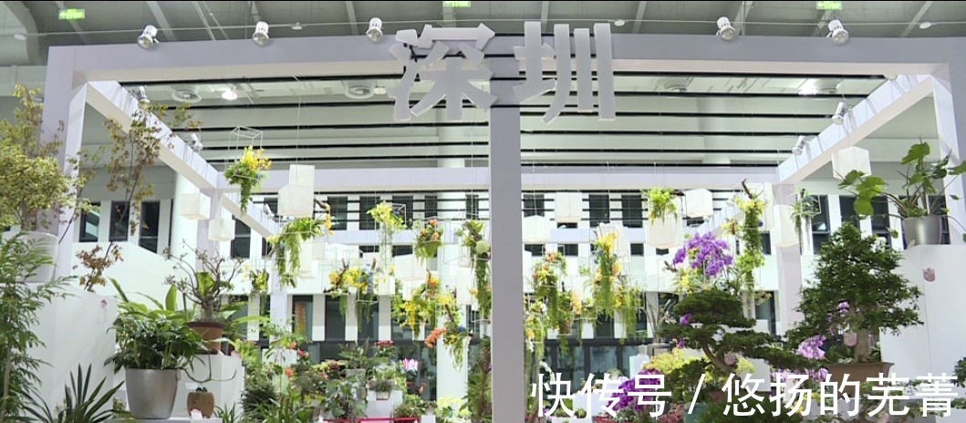 重磅|【最新】花博园里的“重磅新款”来了!