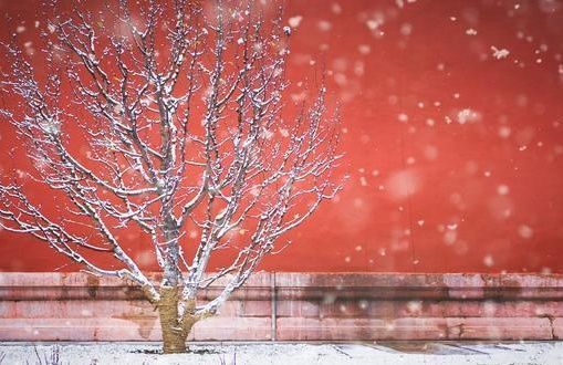 利益|邓皓天人生是一个局,德行是最好的策略