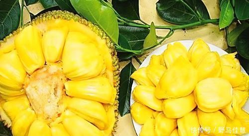 食物|很有营养的3种食物,美容养生、延缓衰老,好吃又健康!