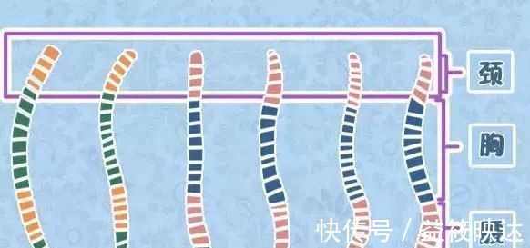 宝宝|婴儿什么时候练习坐宝宝颈椎没有这两个特点不要开始,小心受伤