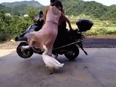 |幽默笑话：老公就是这样的，你一定要相信我