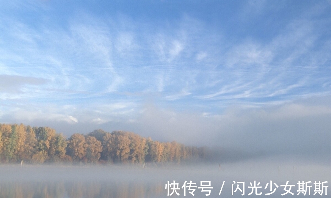 小诗&杨万里两首蕴含人生哲理的小诗,清新自然,极富趣味,值得一读