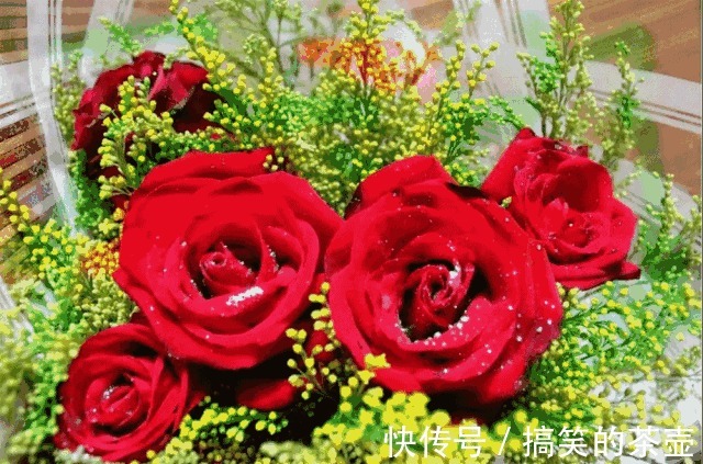 |三个笑话,笑了我七天七夜!