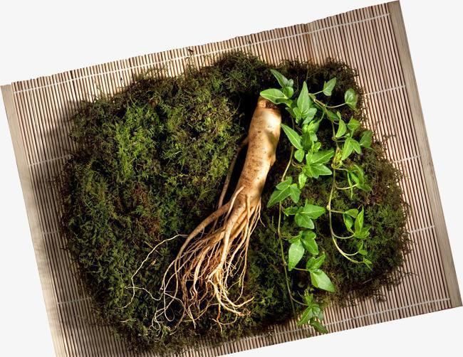 心气|它是补气之最,治一切虚劳,肺气,脾气,肾气,心气,肝气都补齐