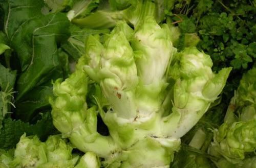 爱美|爱美的女性要多吃3种食物，补血养颜、美白护肤，早吃早好