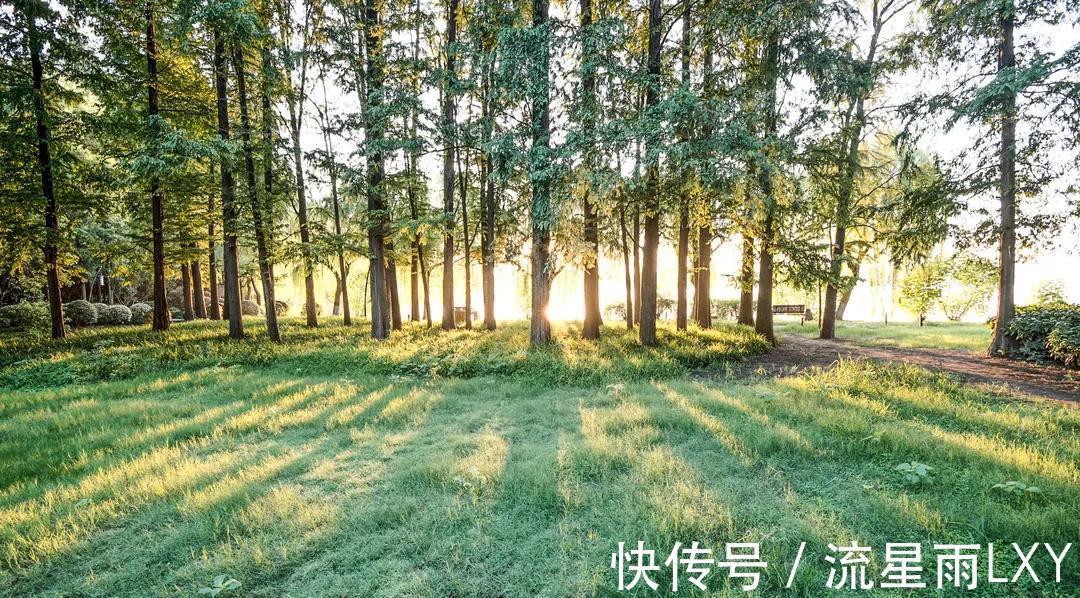 正版|ai智能拓客系统怎么选择正版？