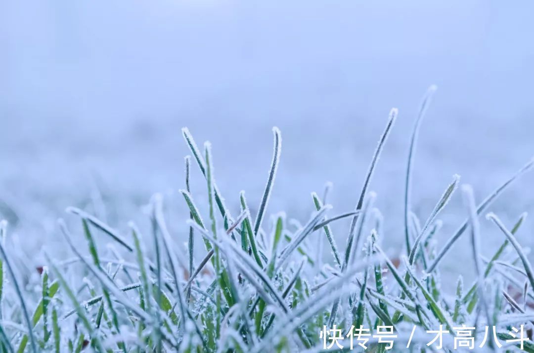 诗词!岁月沧桑,8句诗词,感受古人的人生领悟!