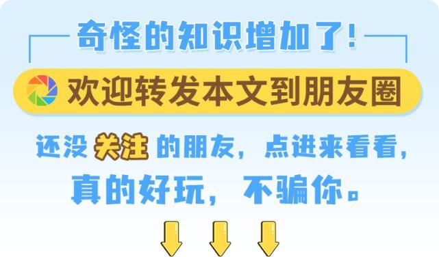 任天堂游戏星云、宙斯风流韵事信息图，居然有这么多好玩的圆圈？