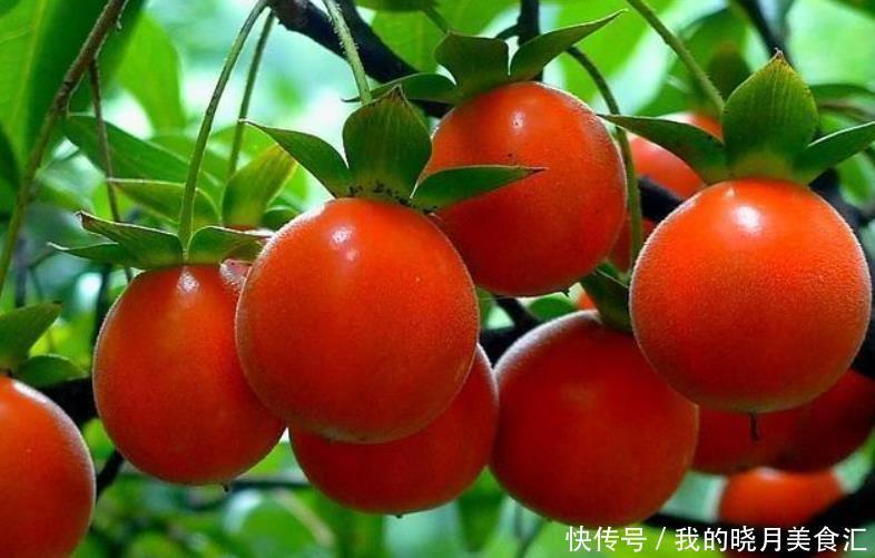 冬天买花要谨慎,懂行的人不买3种花,因为买了养不活,浪费钱!