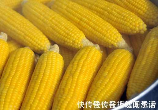 煮玉米,只放清水是错的,多放2样东西,玉米香甜软糯,更好吃