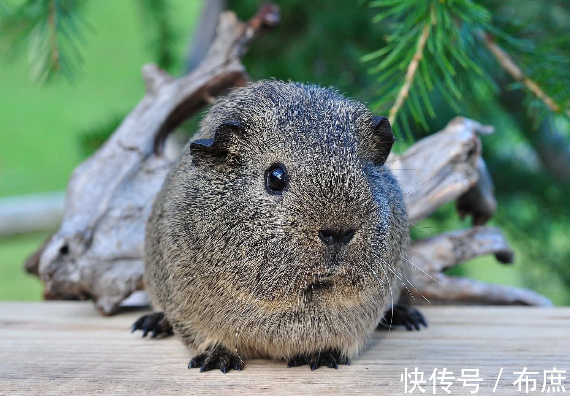 衣饰|2021年12月6日,星期一