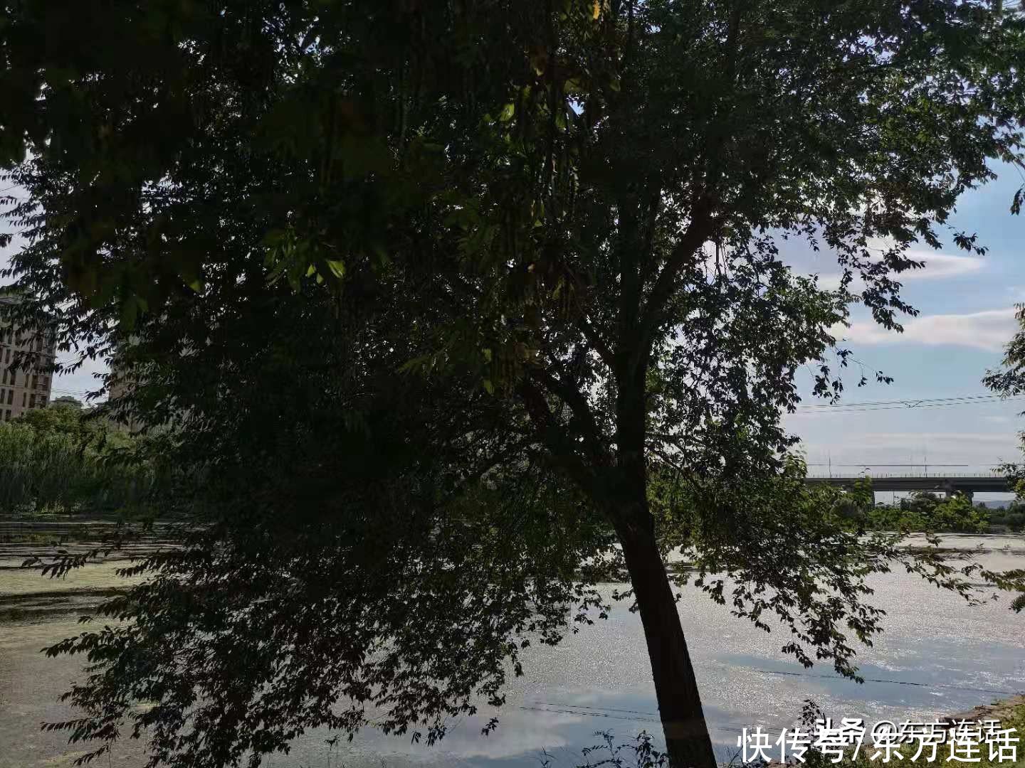 撒撒欢儿|四个月减了十公斤