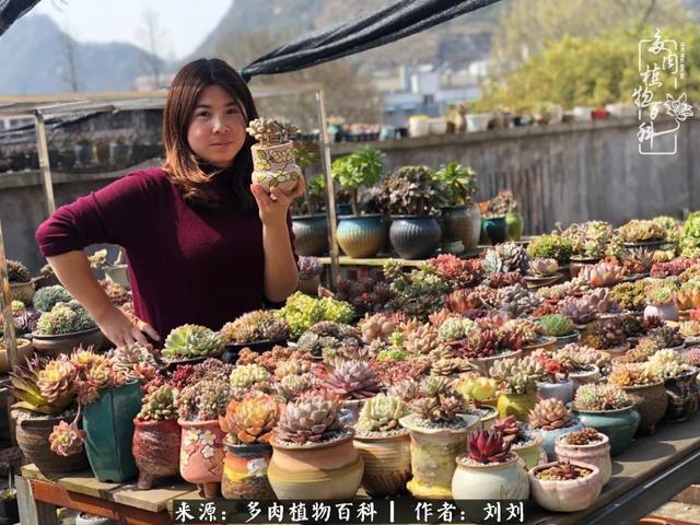 爱多肉，爱生活，我们是一群快乐的养肉人！