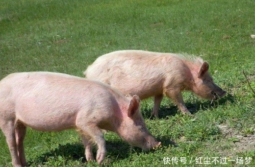 9个冷知识:你以为鲁迅是个呆板的人?其实他是个潮男