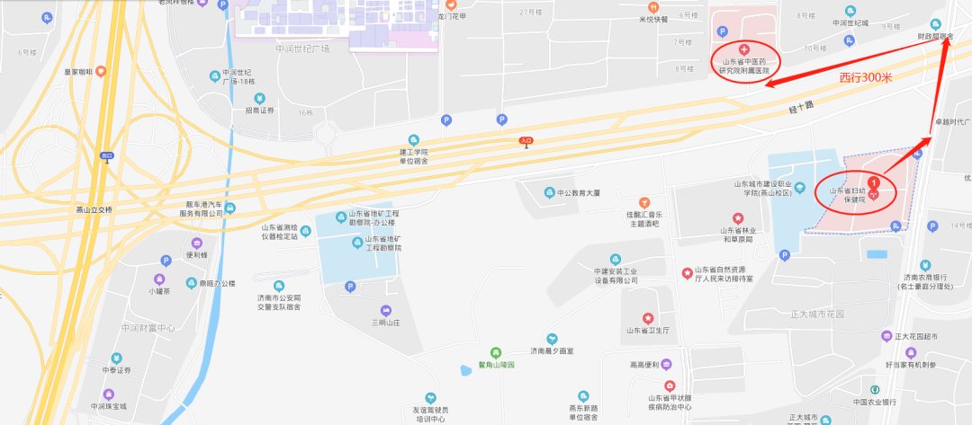 孕育|山东省“健康孕育 护佑新生”预防出生缺陷主题宣传周活动启动仪式在济南举办